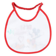 BAVETTA CONFEZIONE DA 6 PZ 18X18 CM 