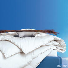 PIUMINO 2 PIAZZE INVERNALE CM250X200 350GRAMMI/MQ 