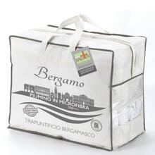 PIUMINO 2 PIAZZE INVERNALE CM250X200 350GRAMMI/MQ 