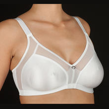 REGGISENO CLASSICO COPPA C 
