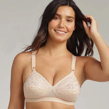 REGGISENO CLASSICO COPPA C CON SEMI IMBOTTITURA 