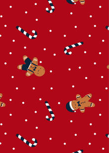 SLIP UOMO NATALIZIO COTONE ELASTICIZZATO 