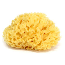 SPUGNA MARINA PASTICCINO 12 MEDITERRANEA 