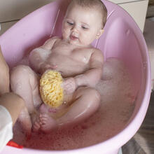 SPUGNA MARINA PASTICCINO 12 MEDITERRANEA 