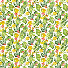 TOVAGLIA ANTIMACCHIA X 6  CM 140X180 