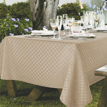 TOVAGLIA ANTIMACCHIA X 12 