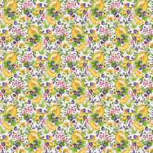 TOVAGLIA ANTIMACCHIA X 12 