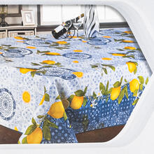 TOVAGLIA ANTIMACCHIA X 12 CM 140X240 STAMPATA 