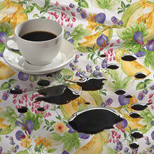 TOVAGLIA ANTIMACCHIA X 6 