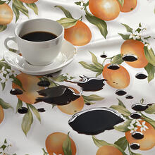 TOVAGLIA ANTIMACCHIA X12 CM 140X240 