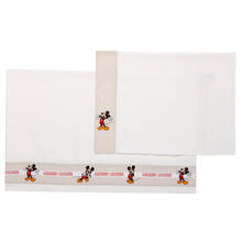 TRAPUNTA + PARACOLPI 5pz LENZUOLO SOPRA,SOTTO E FEDERA 