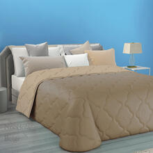 TRAPUNTA 1 PIAZZA MICROFIBRA DOUBLEFACE CM 170X270 