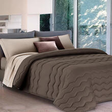 TRAPUNTA 2 PIAZZE BICOLOR MICROFIBRA CM 270X260 