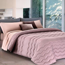 TRAPUNTA 2 PIAZZE BICOLOR MICROFIBRA CM 270X260 