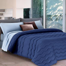 TRAPUNTA 2 PIAZZE BICOLOR MICROFIBRA CM 270X260 