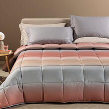 TRAPUNTA 2 PIAZZE MICROFIBRA CM 260X265 