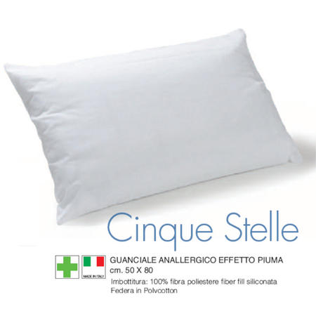 guanciale-5-stelle-50x80-44451